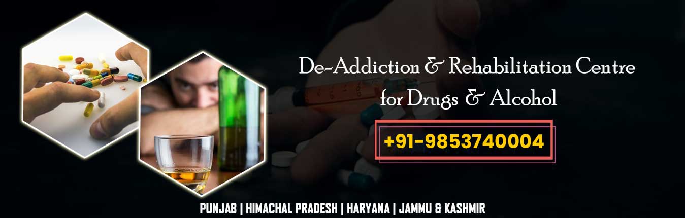 Contact Us at New Change The Life Foundation